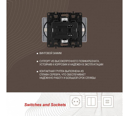 Розетка двойная с заземлением, без рамки Arte Milano am-217 217.40-2.silver