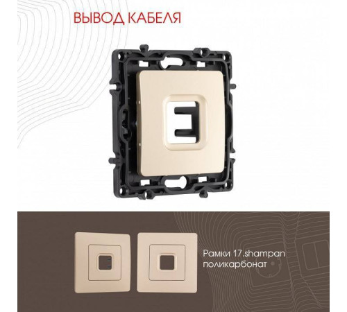 Розетка для вывод кабеля без рамки Arte Milano am-217 217.49-1.shampan