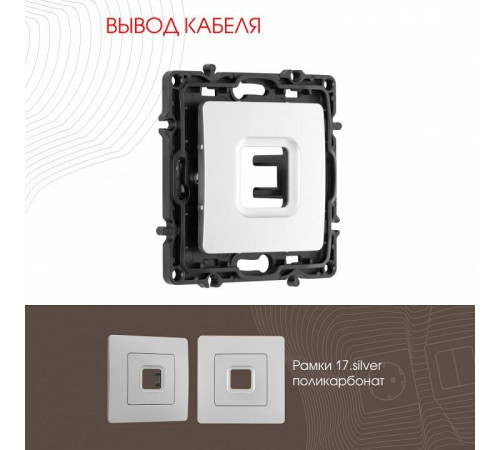 Розетка для вывод кабеля без рамки Arte Milano am-217 217.49-1.silver