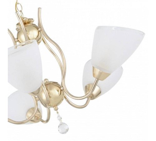 Подвесная люстра Arte Milano Amalfi-5816 5 ламп 335816/5 FGD