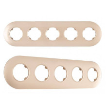 Рамка на 5 постов Arte Milano am-502.08 502.08-5.shampan