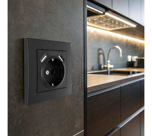 Розетка с заземлением и со шторкой и 2хUSB Arte Milano SET06-1 SET06-1-47-1 black