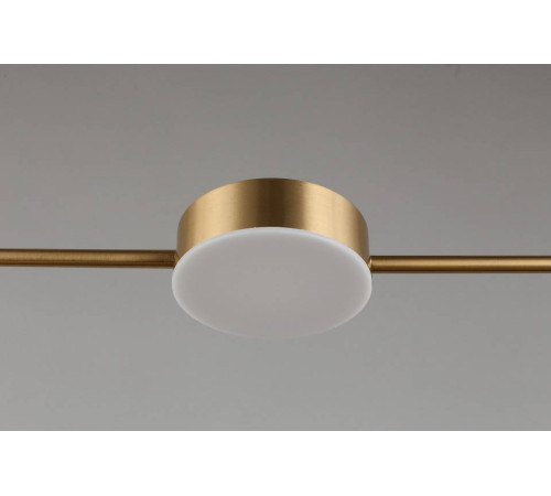 Подвесной светильник Aployt Frania APL.017.13.18