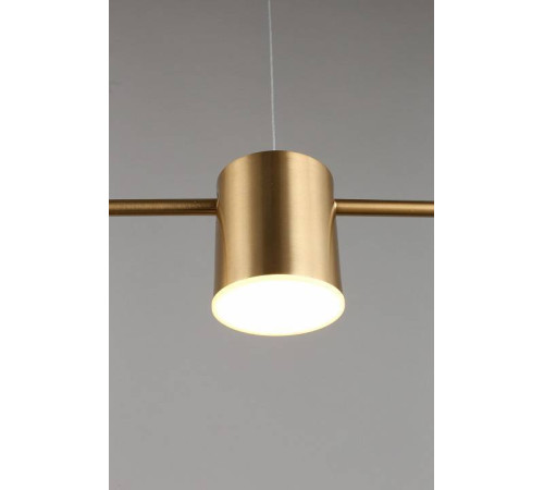 Подвесной светильник Aployt Frania APL.017.13.18