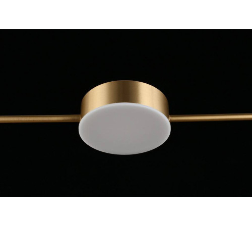 Подвесной светильник Aployt Frania APL.017.13.18