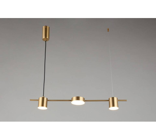 Подвесной светильник Aployt Frania APL.017.13.18