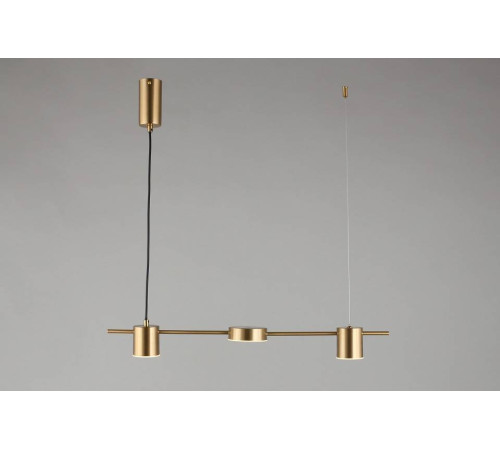 Подвесной светильник Aployt Frania APL.017.13.18