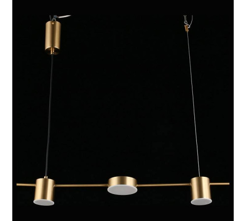 Подвесной светильник Aployt Frania APL.017.13.18