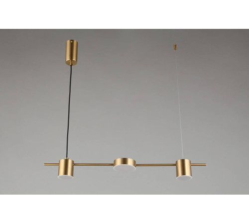 Подвесной светильник Aployt Frania APL.017.13.18