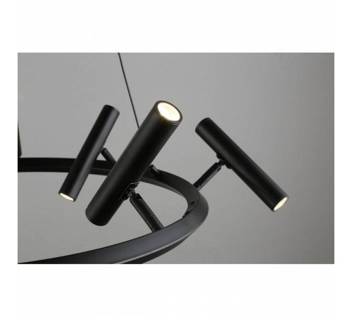 Подвесная люстра Aployt Honor APL.067.03.40