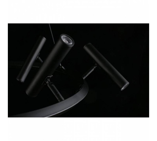 Подвесная люстра Aployt Honor APL.067.03.40