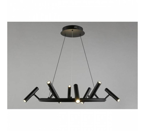 Подвесная люстра Aployt Honor APL.067.03.40