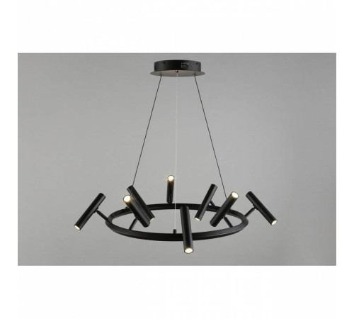 Подвесная люстра Aployt Honor APL.067.03.40