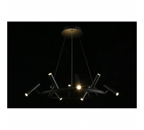 Подвесная люстра Aployt Honor APL.067.03.40