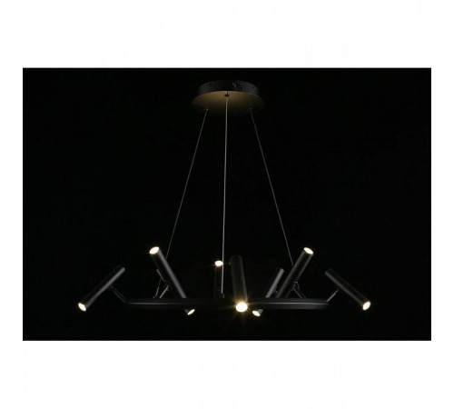 Подвесная люстра Aployt Honor APL.067.03.40