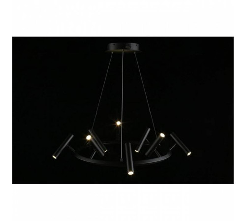 Подвесная люстра Aployt Honor APL.067.03.40