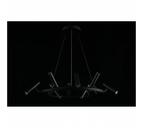 Подвесная люстра Aployt Honor APL.067.03.40