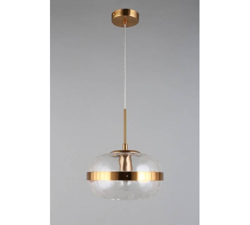 Подвесной светильник Aployt Gabriela APL.305.06.01