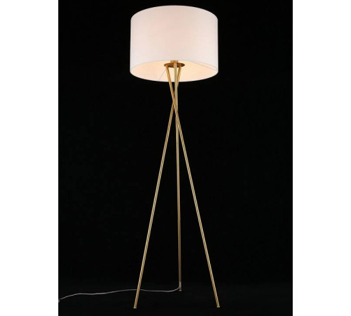 Торшер Aployt Anastasi APL.637.05.01