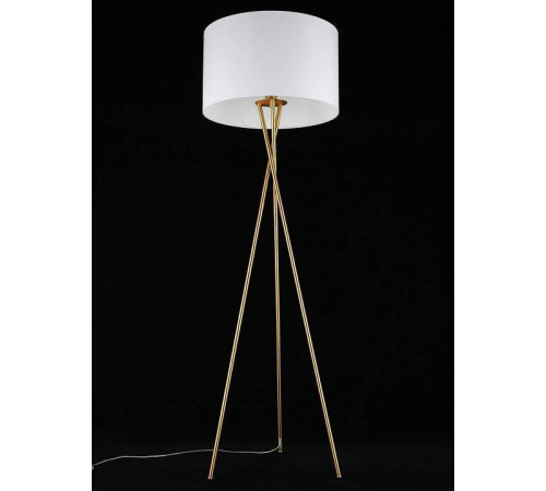 Торшер Aployt Anastasi APL.637.05.01