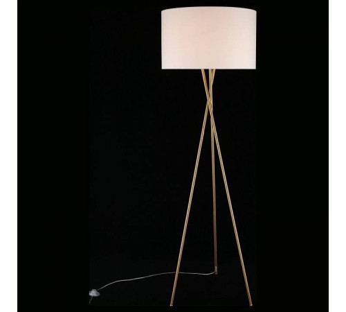 Торшер Aployt Anastasi APL.637.05.01