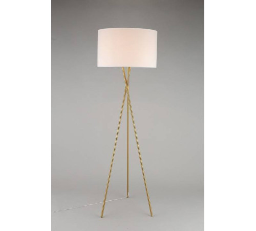 Торшер Aployt Anastasi APL.637.05.01