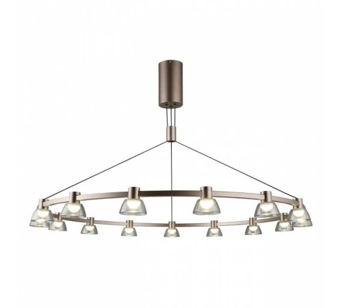 Подвесная люстра Aployt Rezeda APL.788.03.15