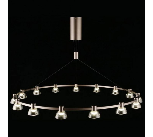 Подвесная люстра Aployt Rezeda APL.788.03.15