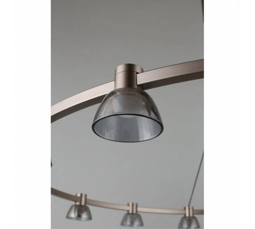 Подвесная люстра Aployt Rezeda APL.788.03.15