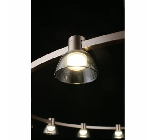 Подвесная люстра Aployt Rezeda APL.788.03.15