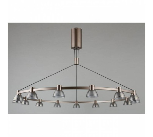 Подвесная люстра Aployt Rezeda APL.788.03.15