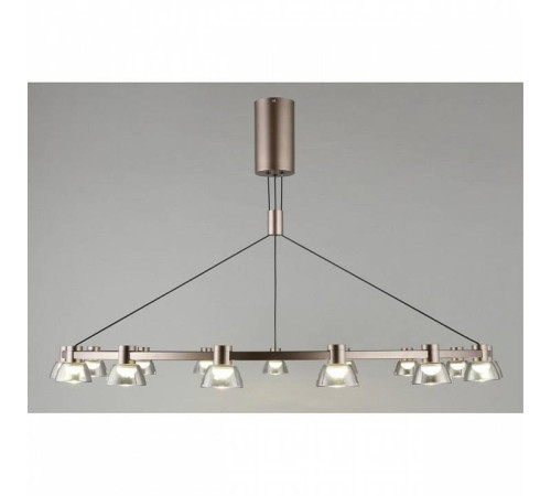 Подвесная люстра Aployt Rezeda APL.788.03.15