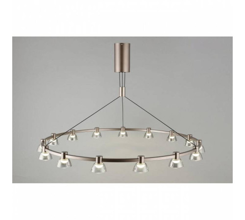 Подвесная люстра Aployt Rezeda APL.788.03.15