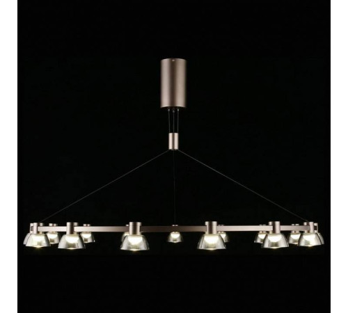 Подвесная люстра Aployt Rezeda APL.788.03.15