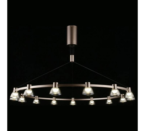 Подвесная люстра Aployt Rezeda APL.788.03.15