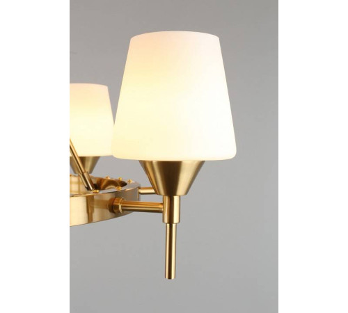 Подвесная люстра Aployt Lyus APL.840.03.08