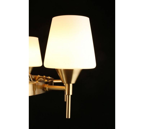 Подвесная люстра Aployt Lyus APL.840.03.08