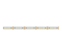 Лента светодиодная Arlight  018729(2)