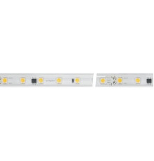 Лента светодиодная Arlight 027058(2)