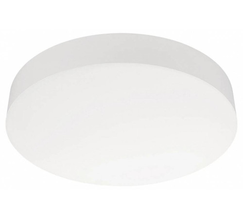 Накладной светильник Arlight IM-FLOWER-EMERGENCY 12 Вт 4000 К белый 042563