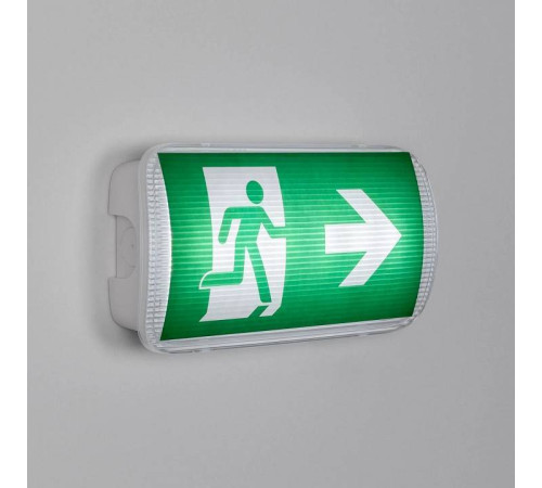 Светильник-указатель Arlight EMERGENCY 046151