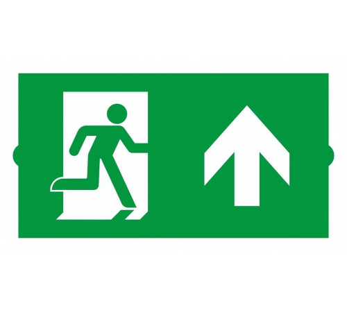 Пиктограмма Arlight EMERGENCY 046669