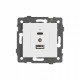 Механизм розетки 2хUSB type A и C Arlight SCT 049839