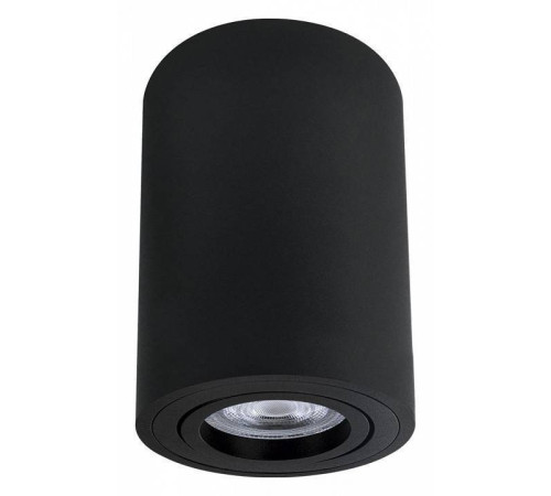 Накладной светильник Arte Lamp Sentry A1566PL-1BK