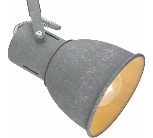 Спот Arte Lamp Jovi A1677PL-2GY
