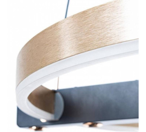 Подвесной светильник Arte Lamp Veritate A2221SP-1BR