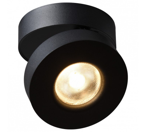Накладной светильник Arte Lamp 2511 A2511PL-1BK