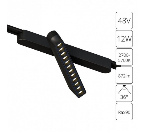 Светильник на штанге Arte Lamp Rapid A2961PL-1BK