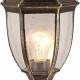 Наземный низкий светильник Arte Lamp Pegasus A3151FN-1BN