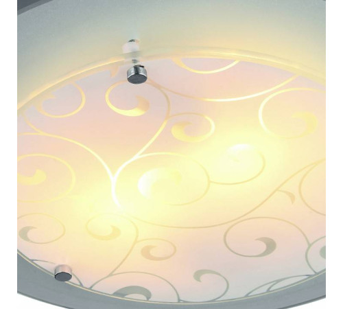 Накладной светильник Arte Lamp Ariel A4806PL-1CC